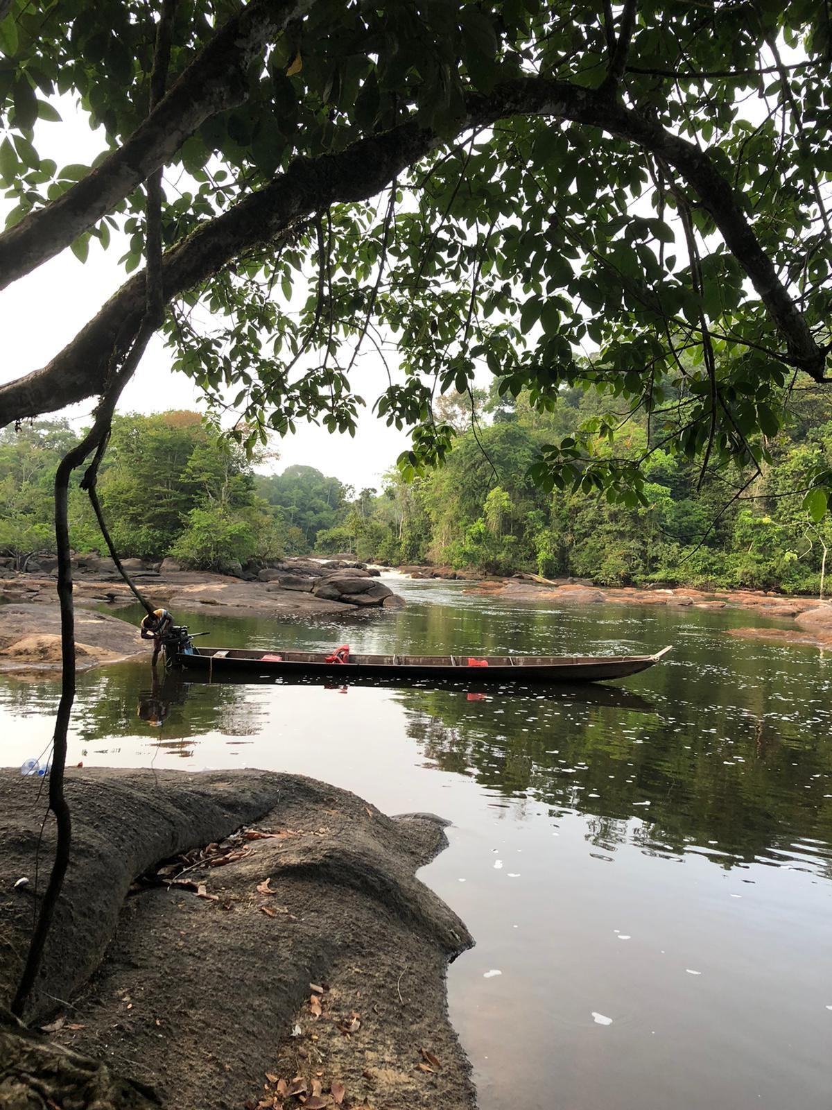 Kumalu Dream Island Tour | Culture, Rapids & Rainforest in Suriname